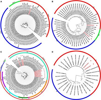 Genetic Characteristics of Human Parainfluenza Virus Types 1–4 From Patients With Clinical Respiratory Tract Infection in China
